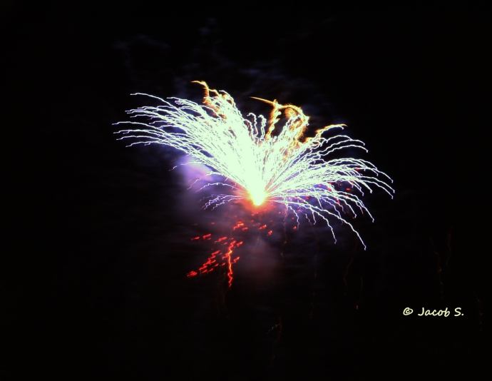 Firework Abstract_6194