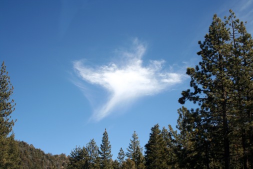 cloud form cross