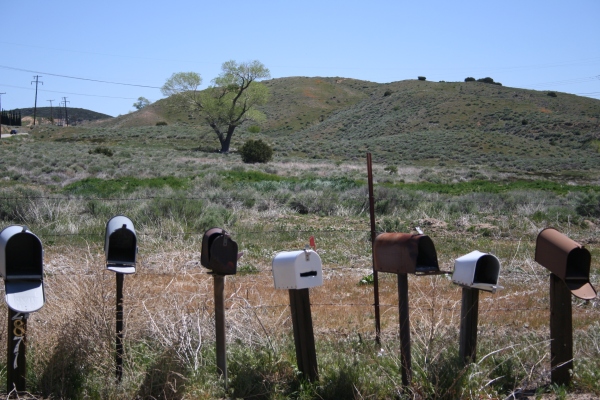 Mail Boxes 113
