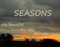SEASONS  - you can do your own thing. Or follow my variant.